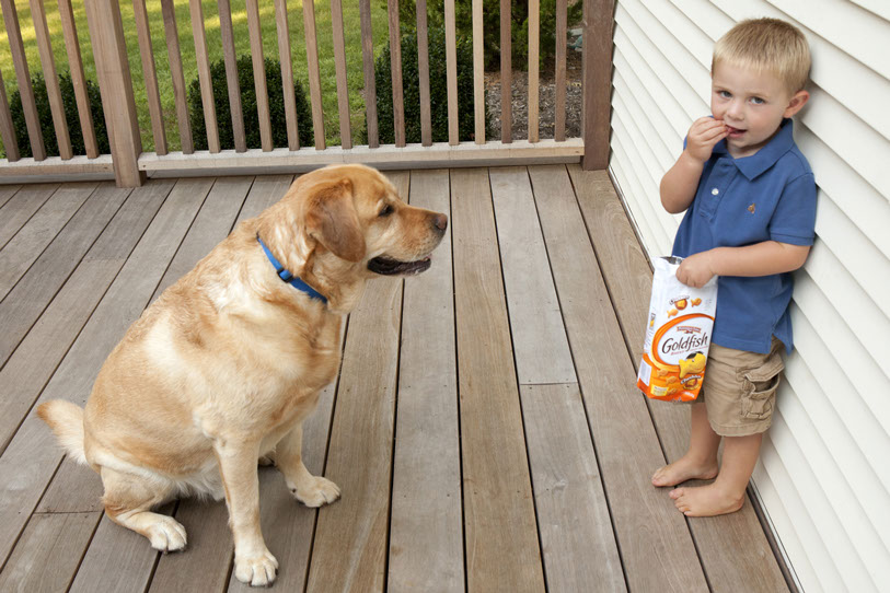 lucille-khornak-babies